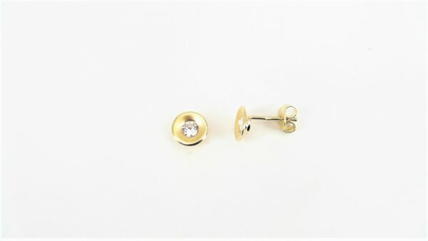 Ohrstecker Einsteiner 333 GG