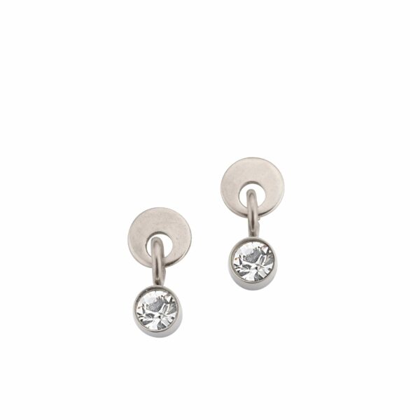 Ohrstecker Einsteiner Titan