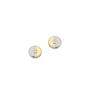 Ohrstecker Einsteiner Titan Bicolor