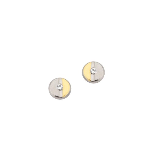 Ohrstecker Einsteiner Titan Bicolor