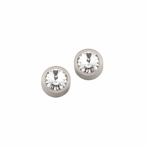 Ohrstecker Einsteiner Titan