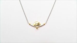 Collier Einsteiner 950 PT
