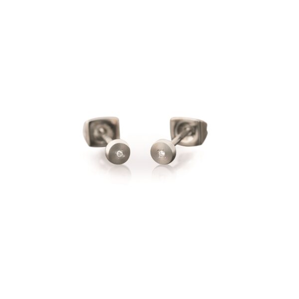Ohrstecker Solitär Titan