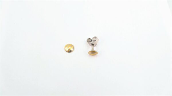 Ohrstecker ohne Stein 950 PT