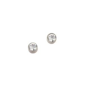Ohrstecker Einsteiner Titan