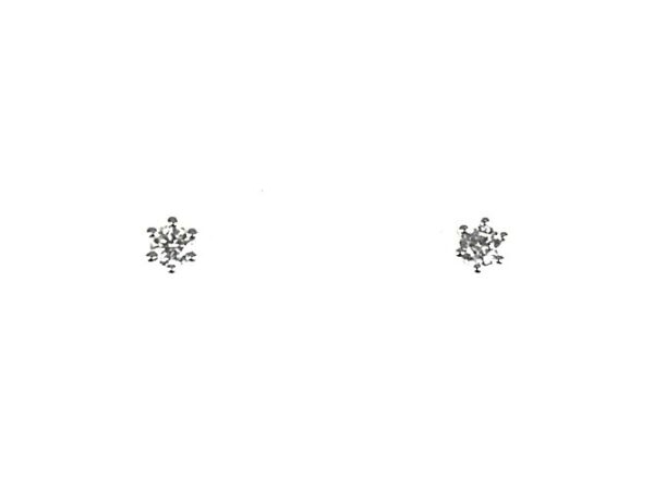 Ohrstecker Einsteiner 585 WG