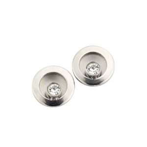 Ohrstecker Einsteiner Titan