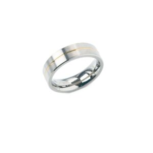 Freundschaftsring Titan Bicolor