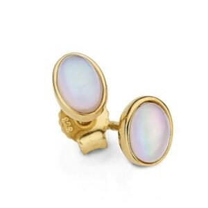 Ohrstecker Einsteiner 333 GG