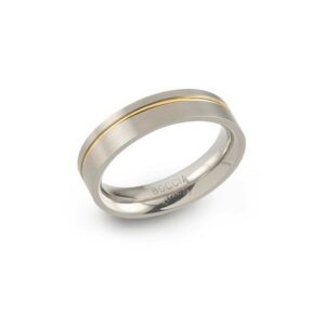 Freundschaftsring Titan Bicolor