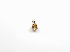 Anhänger Einsteiner 585 GG