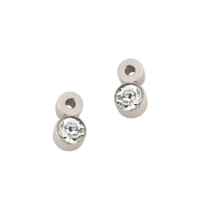 Ohrstecker Einsteiner Titan