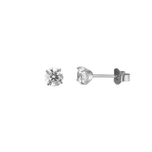Ohrstecker Einsteiner Titan